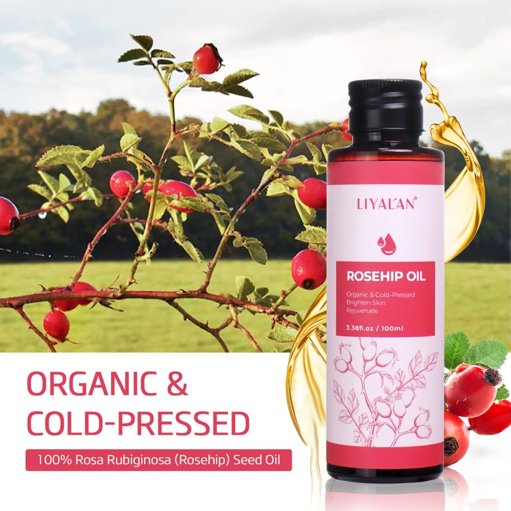 100ml Rosehip Oil Brighten Fir - Cold Pressed Rose Hip ulasan dan harga